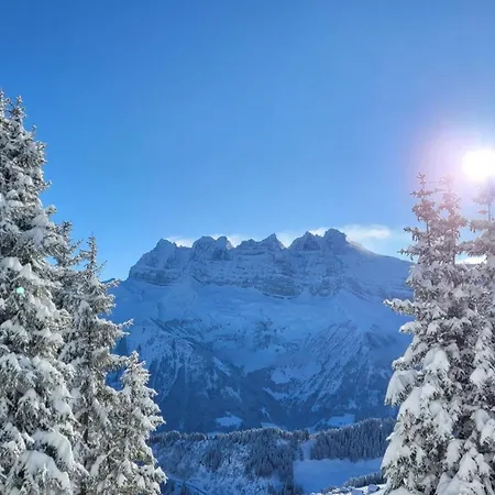 Ecureuil à - Portes Du Soleil Appartement *