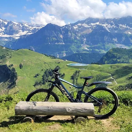 Ecureuil à - Portes Du Soleil Appartamento