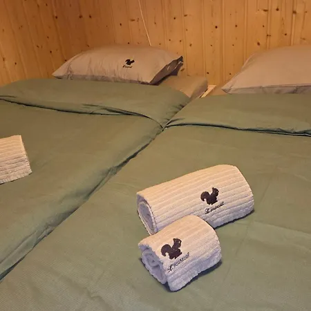 Ecureuil à - Portes Du Soleil Apartamento Champoussin