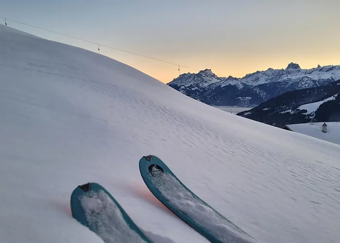 Ecureuil à - Portes Du Soleil * Champoussin