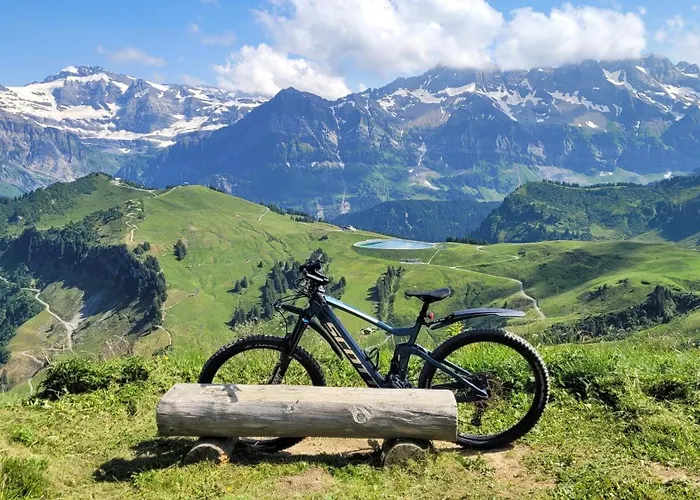 Ecureuil à - Portes Du Soleil Apartamento