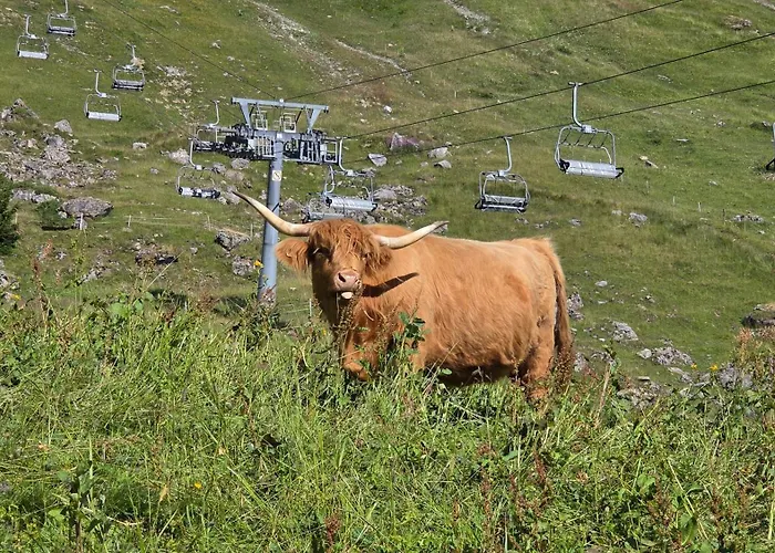 Apartamento Ecureuil à - Portes Du Soleil