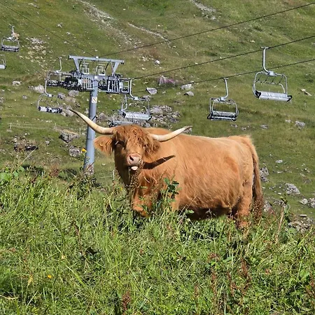 Διαμέρισμα Ecureuil A - Portes Du Soleil